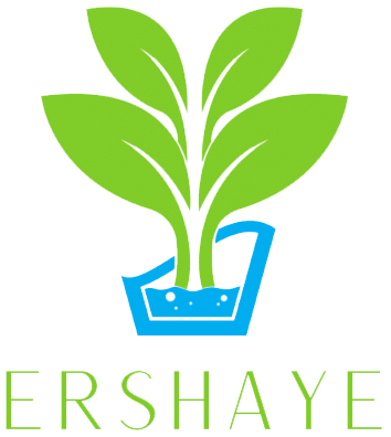 Ershaye Logo
